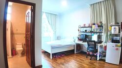 Pinewood Terrace (D25), Terrace #529427661